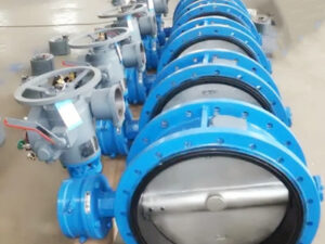 corrosion and abrasion resistant butterfly valve
