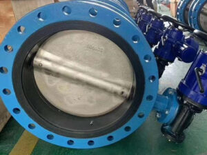 butterfly valve in power plant