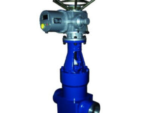 wedge gate valve for steam purging